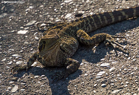 20140801_0242C