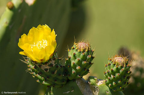 20150107_0172