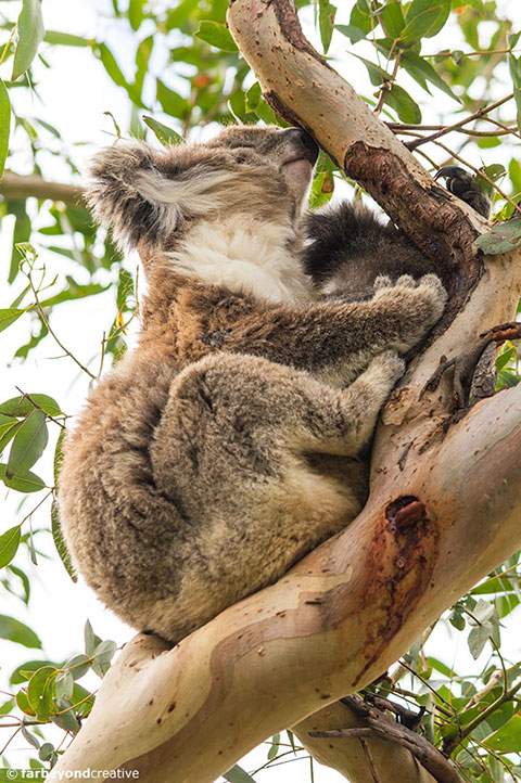 20150117_0235