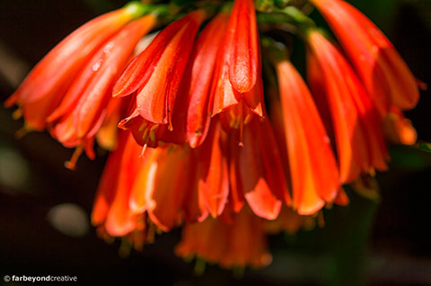 20150128_0499