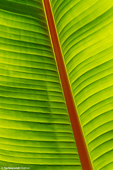 20150128_0522