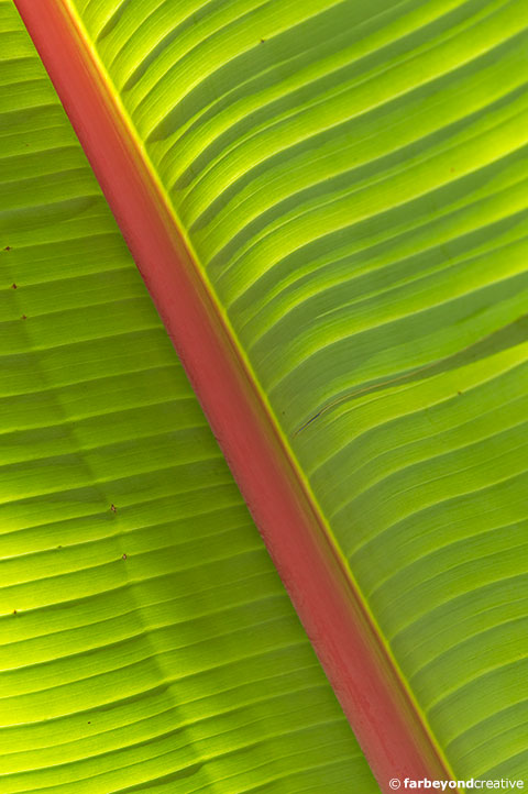 20150128_0532