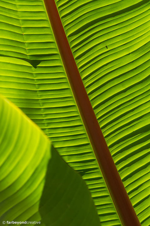 20150128_0534