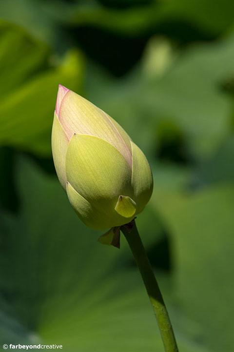 20150128_0550