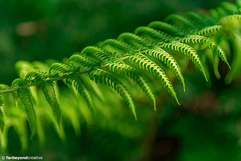 20151104_5897