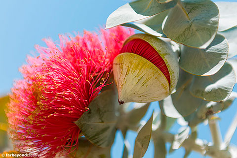 20151104_5908