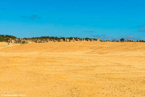 20151108_6081