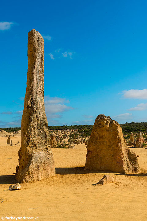 20151108_6125