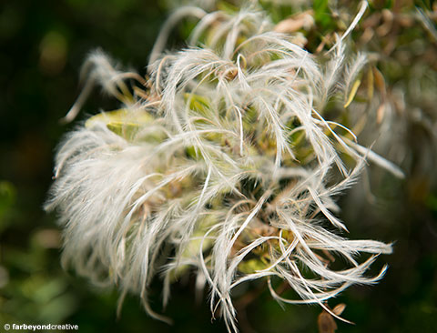 20151111_6512_13