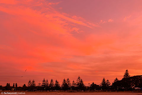 20151112_6594
