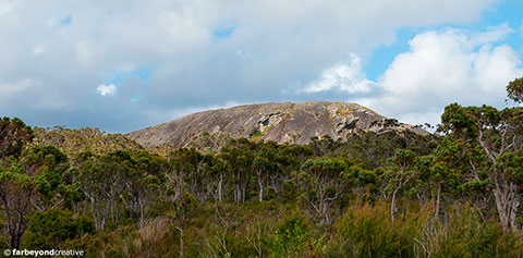 20151118_7641