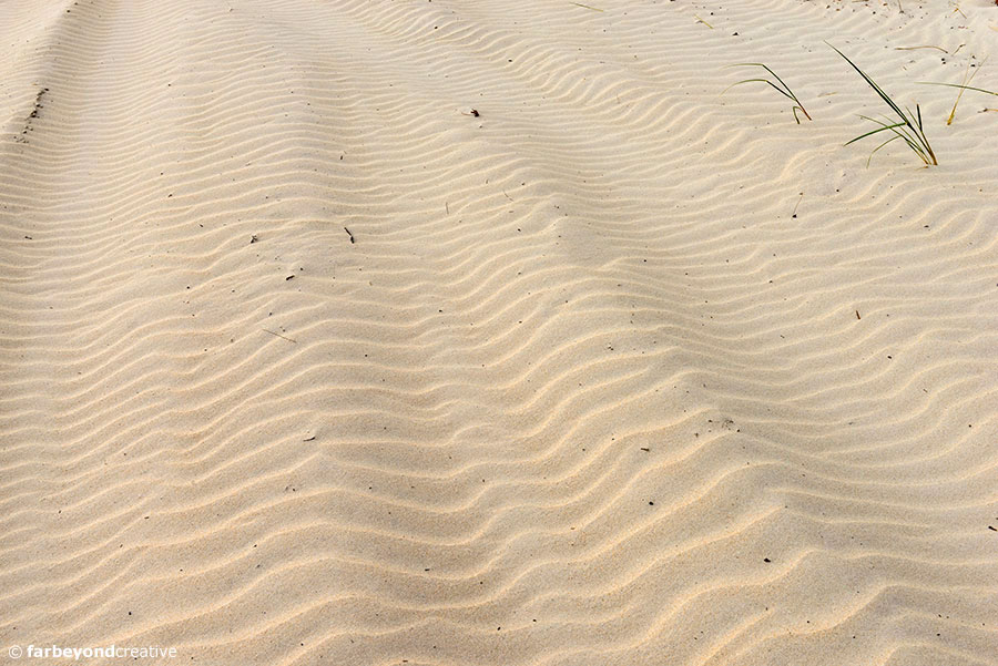 20151120_8118