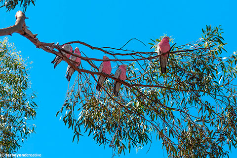 20151125_8836