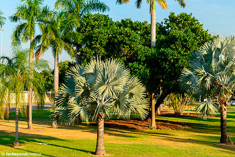 20160612_0087