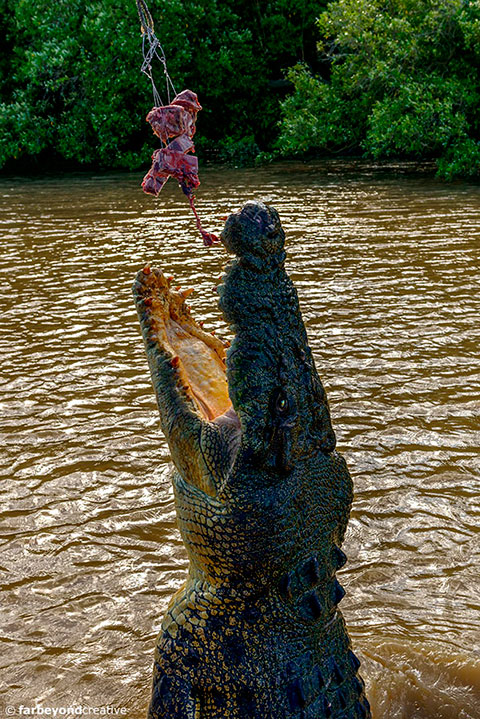 20160614_0279C