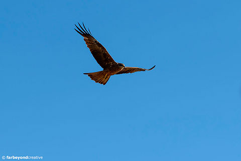 20160614_0311C