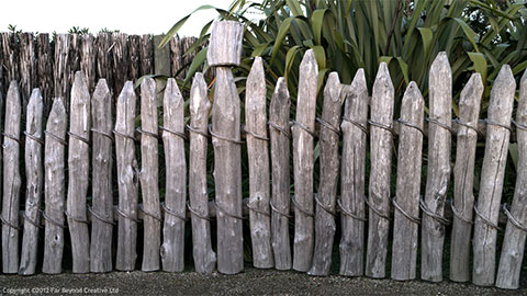 P10176