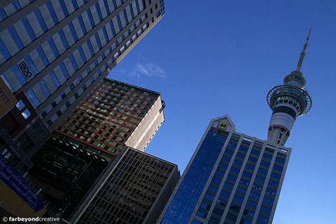 P10343