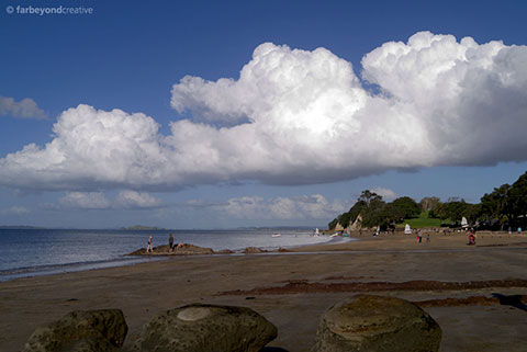 P10361