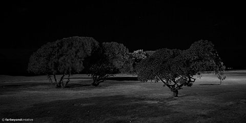 PK1156BW