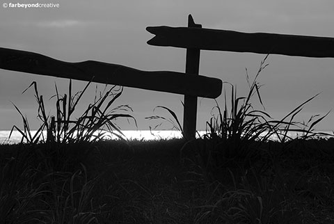 PK9477BW